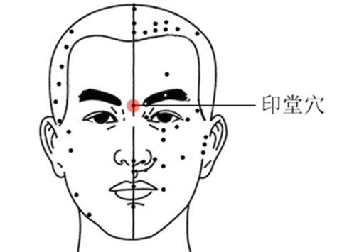 印堂位置|印堂穴位位置图